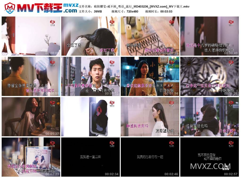 欧阳耀莹-戒不掉_粤语_流行_MD403236